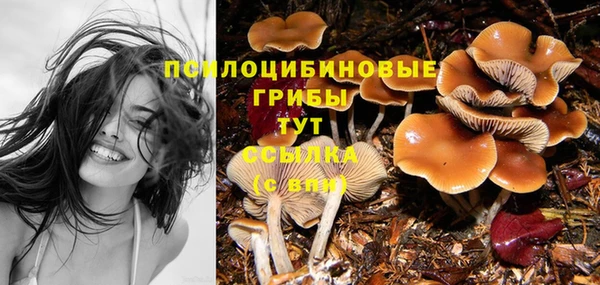 молекула духа Горно-Алтайск