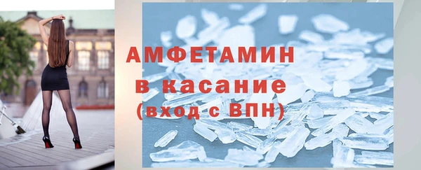 прущие грибы Пересвет