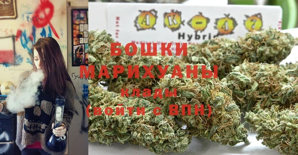 молекула духа Горно-Алтайск