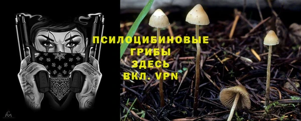 МДМА Горняк