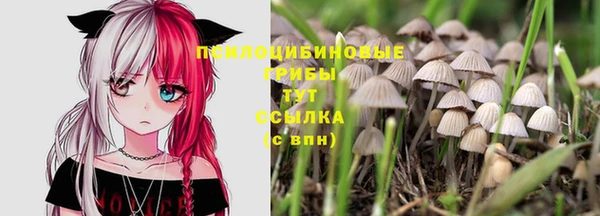 молекула духа Горно-Алтайск