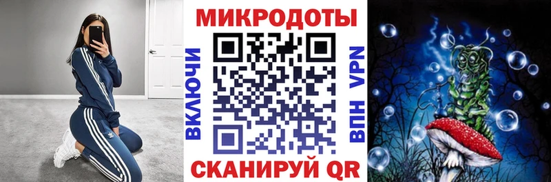 Галлюциногенные грибы Psilocybe  Купить  Новоузенск 